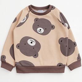 Толстовка футер 2х нитка начес 1027310112