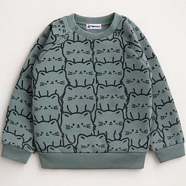 Толстовка футер 2х нитка начес 1027310111