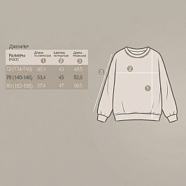 Джемпер-обманка футер 2х нитка петля 2026320102