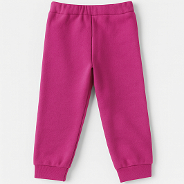 Штанишки футер 2х нитка начёс 0381310403