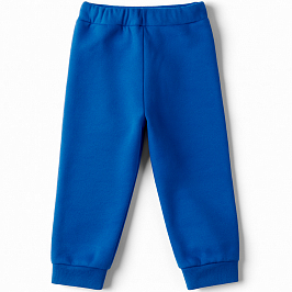 Штанишки футер 2х нитка начёс 0381310402