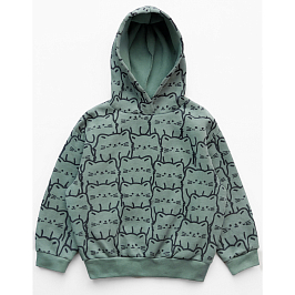 Толстовка футер 2х нитка начес 2103310105