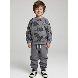 Костюм футер 2х нитка начес 8003310207