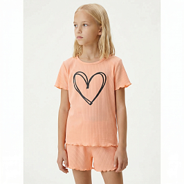 Комплект лапша 7006700114