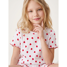 Комплект кулирка жатка 7073100101