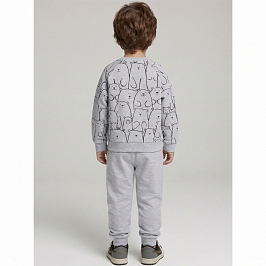 Костюм футер 2х нитка начес 8003310209