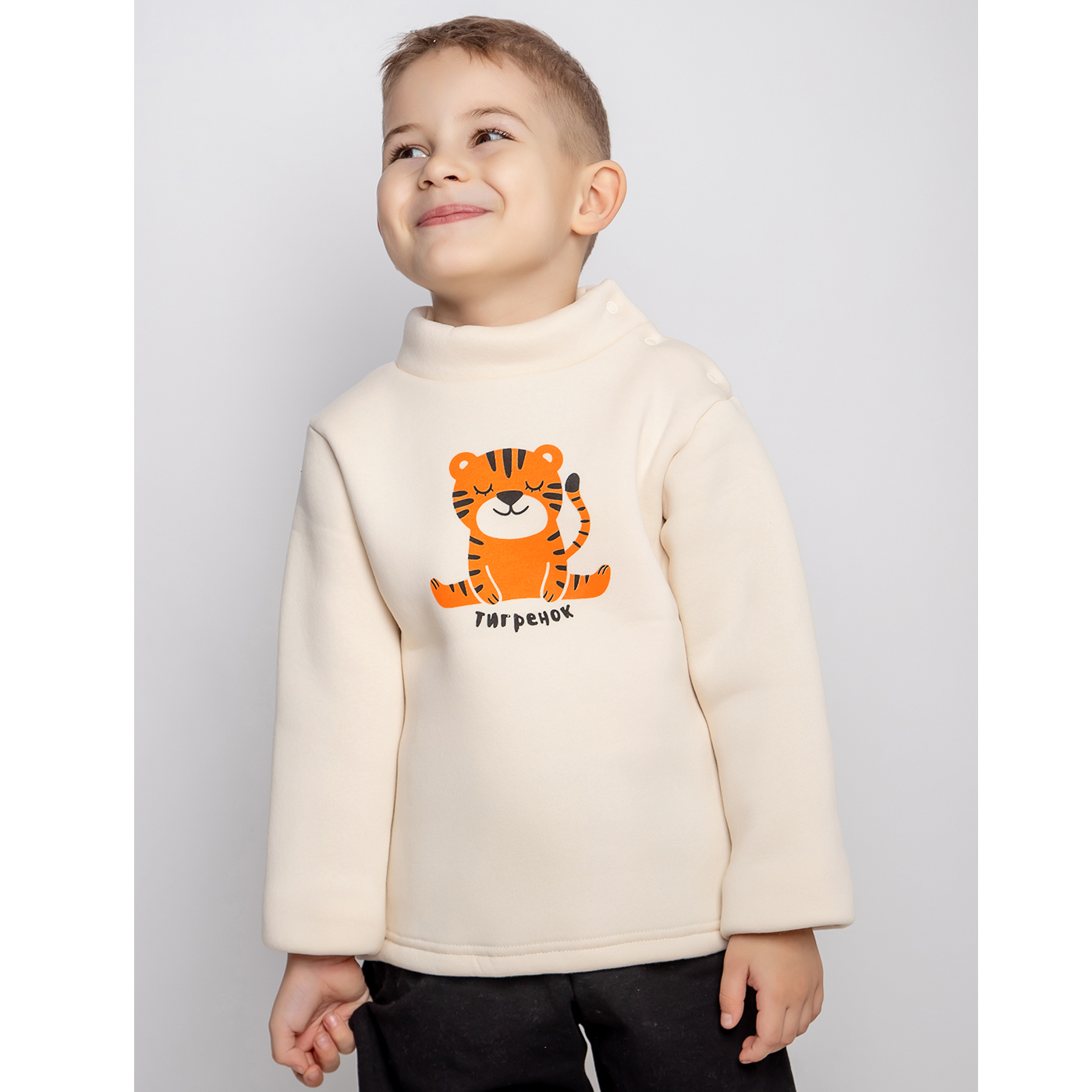 Толстовка футер 3х нитка начёс 0460300204 Толстовка футер 3х нитка начёс 0460300204