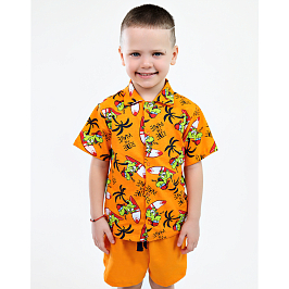 Комплект кулирка  7148100207