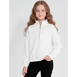 Толстовка футер 3х нитка петля 1847330101